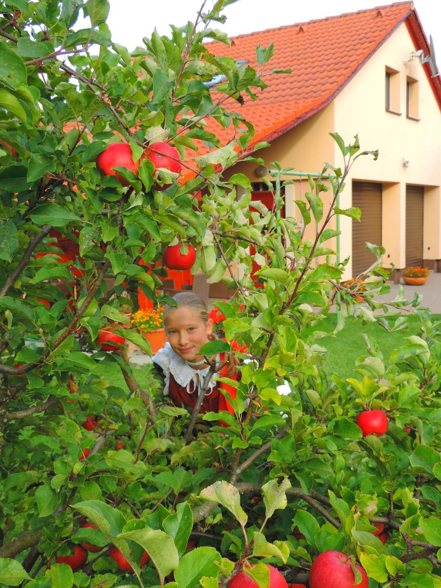 Holiday Home Linda Liptovský Mikuláš Exteriör bild